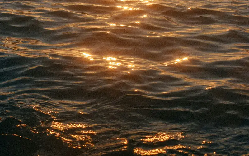 Offers - Direct Booking Discounts