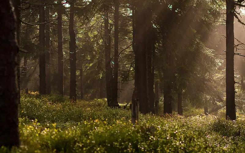 Offers - Pay in Argentine pesos, Brazilian reais, or Uruguayan pesos